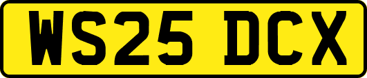 WS25DCX