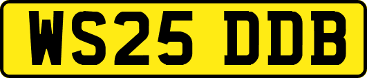 WS25DDB