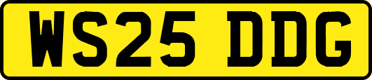 WS25DDG