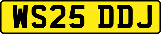 WS25DDJ
