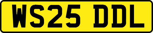 WS25DDL