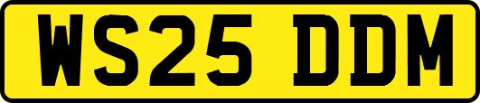 WS25DDM