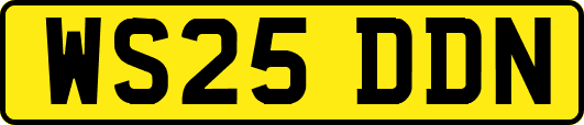 WS25DDN