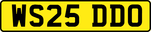 WS25DDO