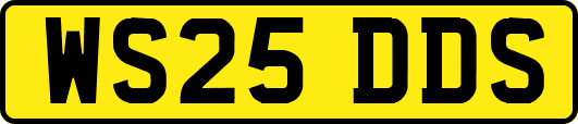 WS25DDS