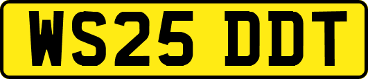 WS25DDT