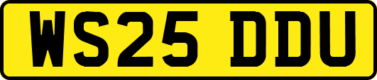 WS25DDU