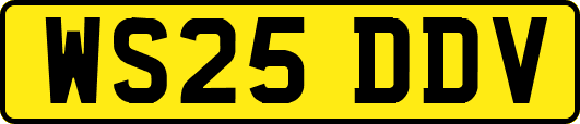 WS25DDV