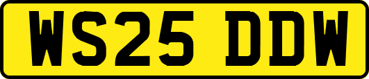 WS25DDW