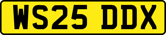 WS25DDX