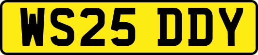 WS25DDY