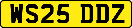 WS25DDZ
