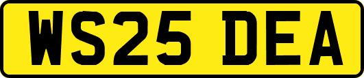 WS25DEA