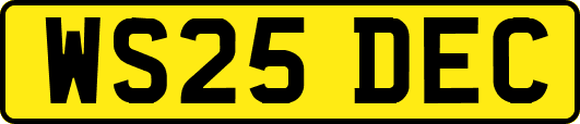WS25DEC