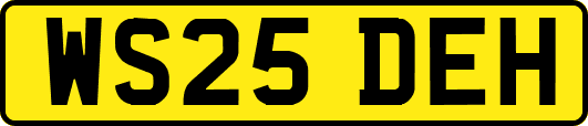 WS25DEH