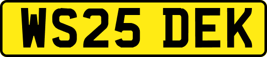 WS25DEK
