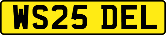 WS25DEL