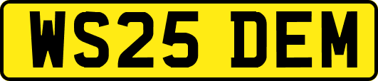 WS25DEM