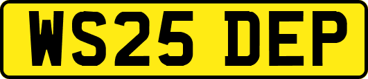 WS25DEP