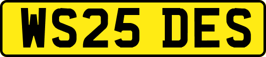 WS25DES
