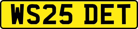 WS25DET