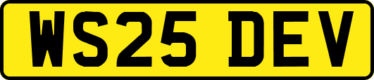 WS25DEV