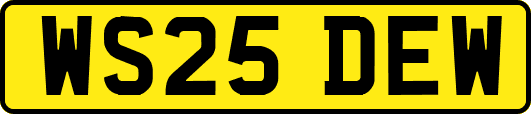 WS25DEW