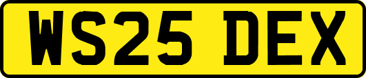 WS25DEX
