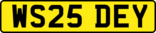 WS25DEY