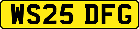 WS25DFG