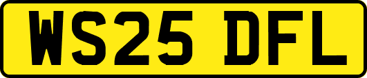 WS25DFL