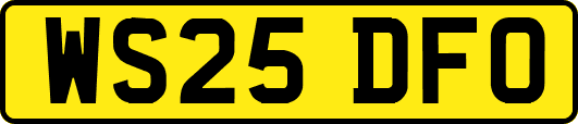 WS25DFO
