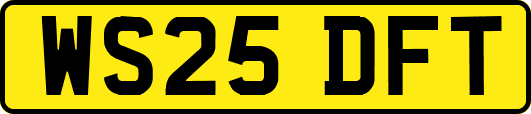 WS25DFT