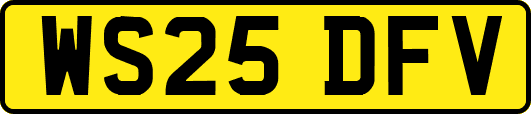 WS25DFV