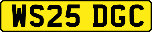 WS25DGC