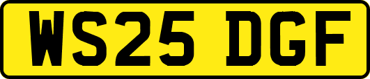 WS25DGF