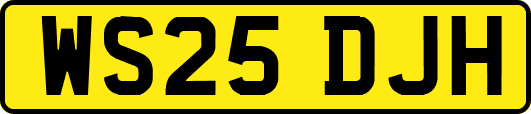 WS25DJH