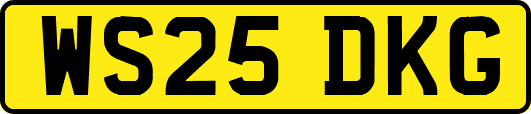 WS25DKG