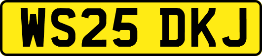 WS25DKJ