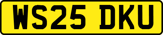 WS25DKU