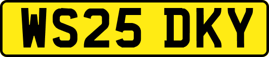 WS25DKY