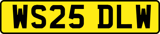 WS25DLW