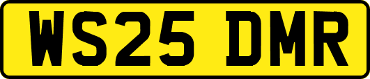 WS25DMR