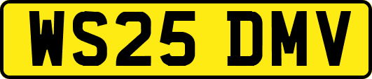 WS25DMV