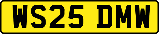 WS25DMW