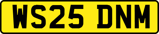WS25DNM