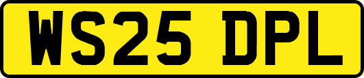 WS25DPL