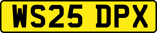WS25DPX