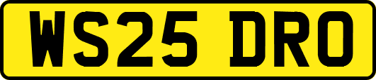 WS25DRO