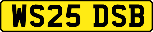 WS25DSB